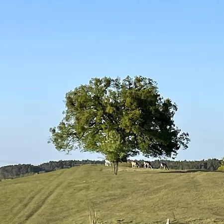 Apartment Grosse Loft Im Naturschutzgebiet Templin