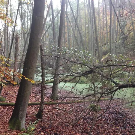 Grosse Loft Im Naturschutzgebiet Mit Eigenem Garten Templin