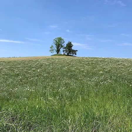 Grosse Loft Im Naturschutzgebiet * Templin