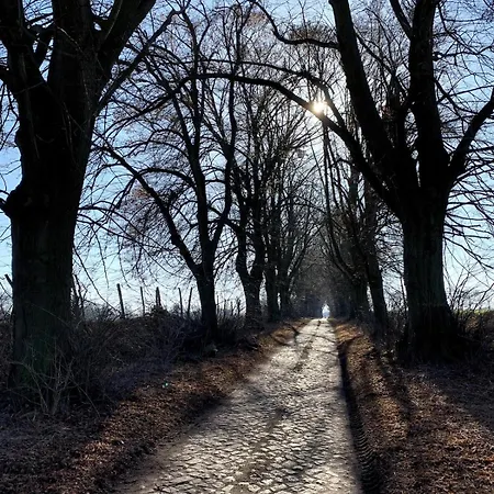 Appartamento Grosse Loft Im Naturschutzgebiet Mit Eigenem Garten *