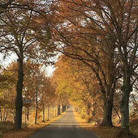 Grosse Loft Im Naturschutzgebiet Mit Eigenem Garten * Templin
