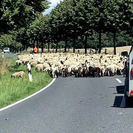 Appartamento Grosse Loft Im Naturschutzgebiet Mit Eigenem Garten Templin
