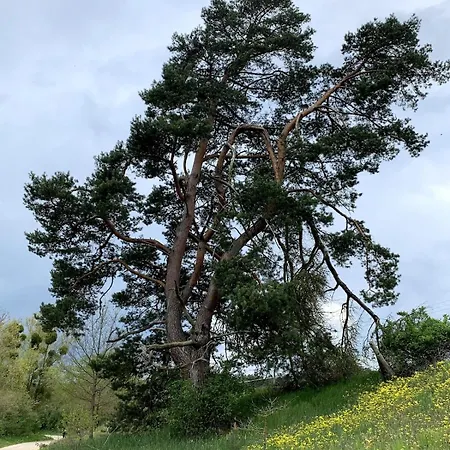 Grosse Loft Im Naturschutzgebiet Mit Eigenem Garten Appartamento Templin