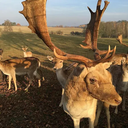Appartamento Grosse Loft Im Naturschutzgebiet Mit Eigenem Garten