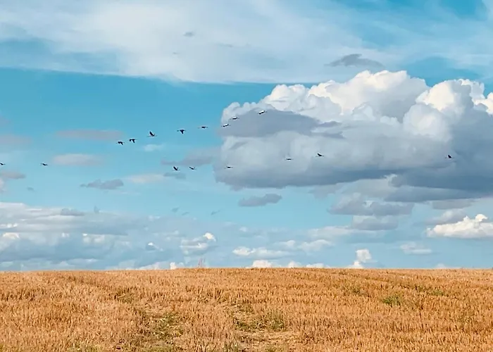 Lägenhet Grosse Loft Im Naturschutzgebiet Mit Eigenem Garten Templin