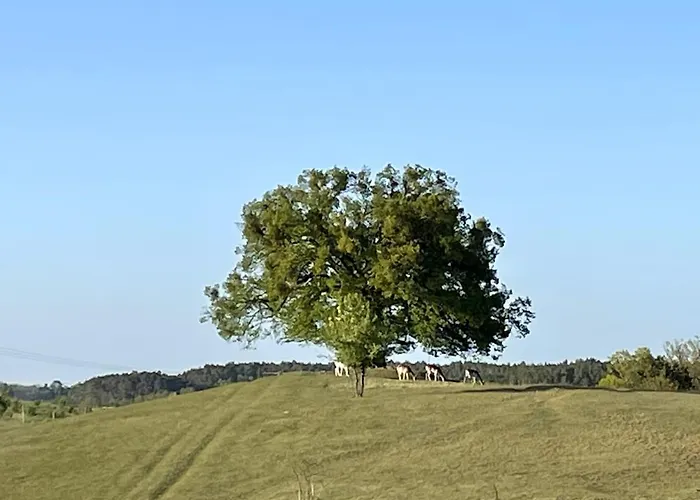 Lägenhet Grosse Loft Im Naturschutzgebiet Mit Eigenem Garten Templin