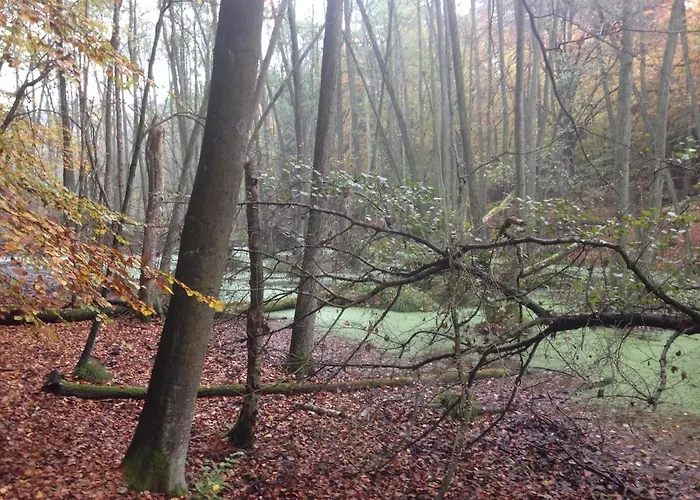 Grosse Loft Im Naturschutzgebiet Mit Eigenem Garten Templin