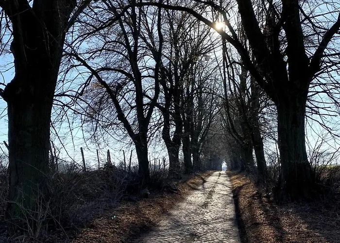 Lägenhet Grosse Loft Im Naturschutzgebiet Mit Eigenem Garten *