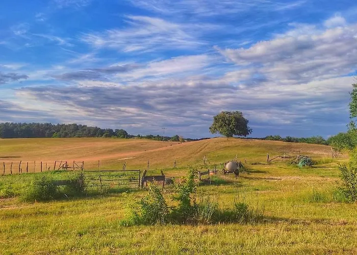 Grosse Loft Im Naturschutzgebiet Mit Eigenem Garten Lägenhet Templin