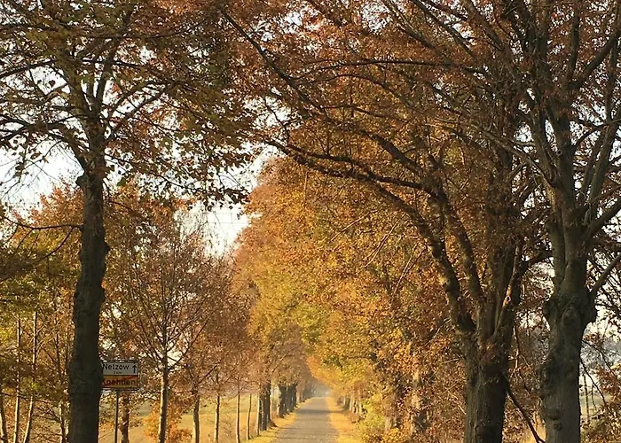 Grosse Loft Im Naturschutzgebiet Mit Eigenem Garten * Templin