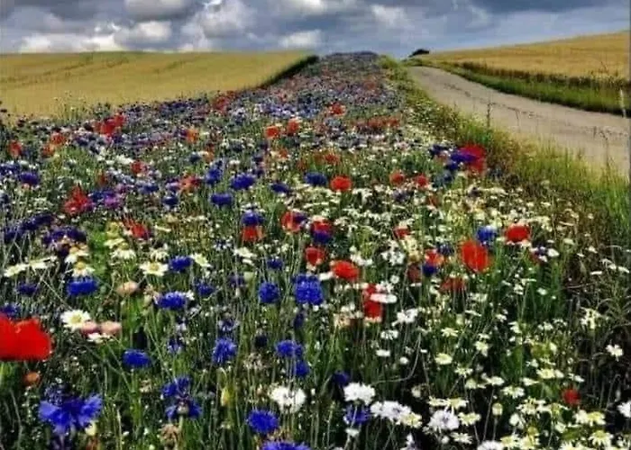 Lägenhet Grosse Loft Im Naturschutzgebiet Mit Eigenem Garten