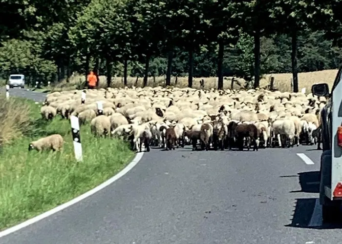 Lägenhet Grosse Loft Im Naturschutzgebiet Mit Eigenem Garten Templin