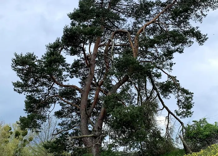 Grosse Loft Im Naturschutzgebiet Mit Eigenem Garten Lägenhet Templin